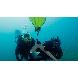 Search & Recovery Diver Elearning